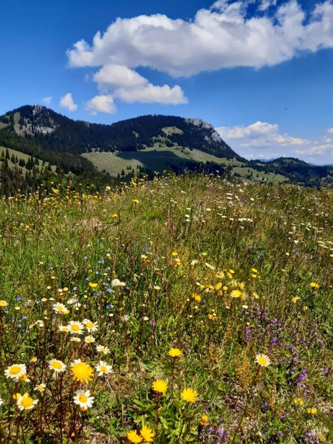 Fewo Niederndorferberg Luaran gambar